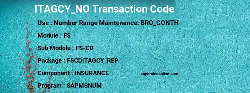 SAP ITAGCY_NO transaction code