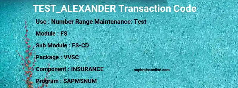 SAP TEST_ALEXANDER transaction code