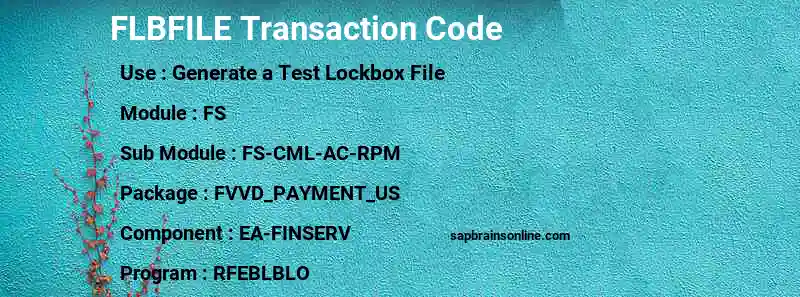 SAP FLBFILE transaction code