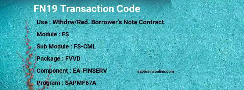SAP FN19 transaction code