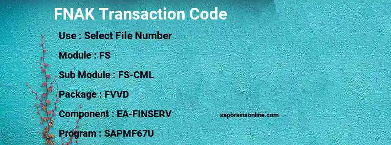 SAP FNAK transaction code