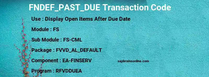SAP FNDEF_PAST_DUE transaction code