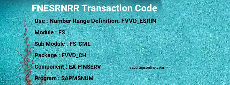 SAP FNESRNRR transaction code