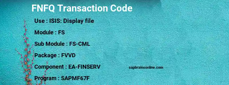 SAP FNFQ transaction code