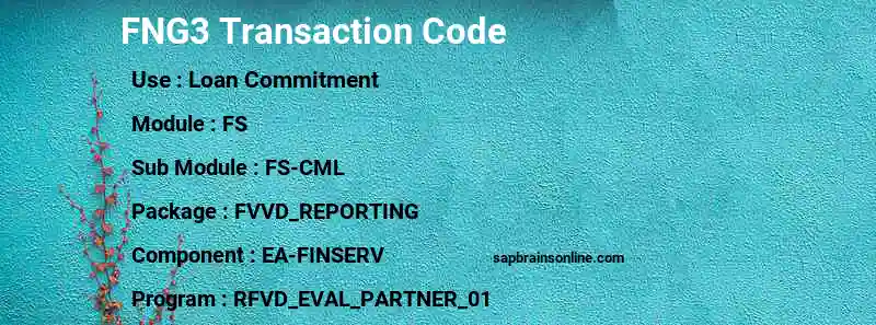 SAP FNG3 transaction code