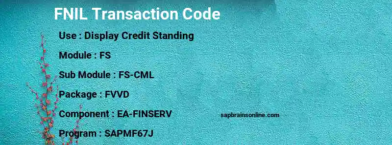 SAP FNIL transaction code