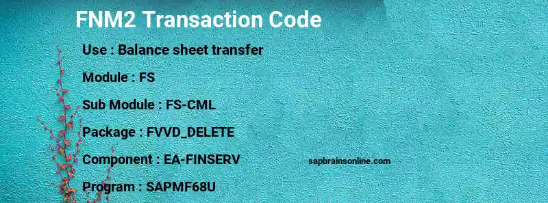 SAP FNM2 transaction code