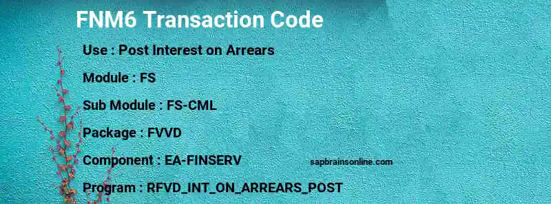 SAP FNM6 transaction code