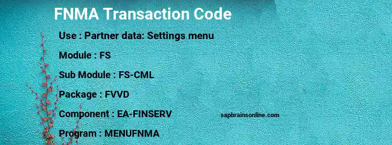 SAP FNMA transaction code