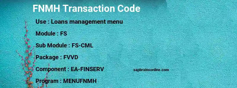 SAP FNMH transaction code