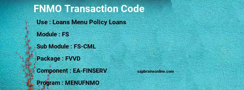SAP FNMO transaction code