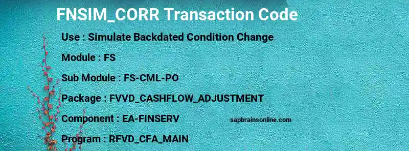 SAP FNSIM_CORR transaction code