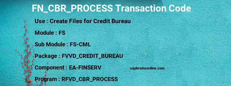 SAP FN_CBR_PROCESS transaction code