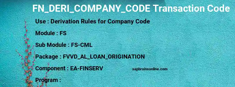 SAP FN_DERI_COMPANY_CODE transaction code