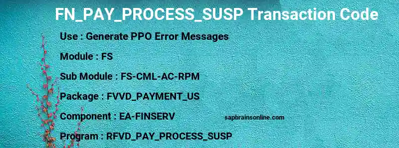 SAP FN_PAY_PROCESS_SUSP transaction code