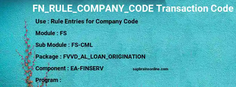 SAP FN_RULE_COMPANY_CODE transaction code