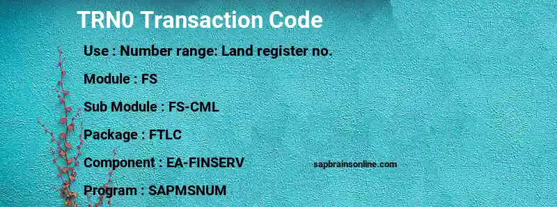 SAP TRN0 transaction code