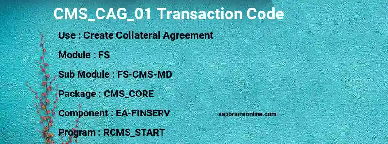 SAP CMS_CAG_01 transaction code
