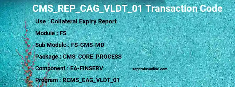 SAP CMS_REP_CAG_VLDT_01 transaction code