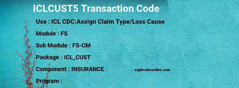SAP ICLCUST5 transaction code