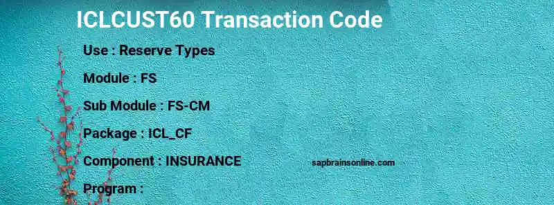 SAP ICLCUST60 transaction code