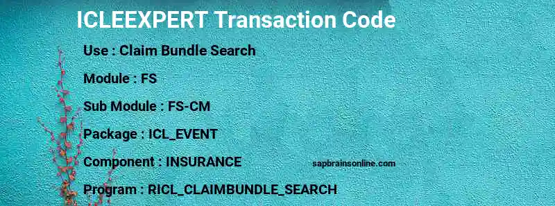 SAP ICLEEXPERT transaction code