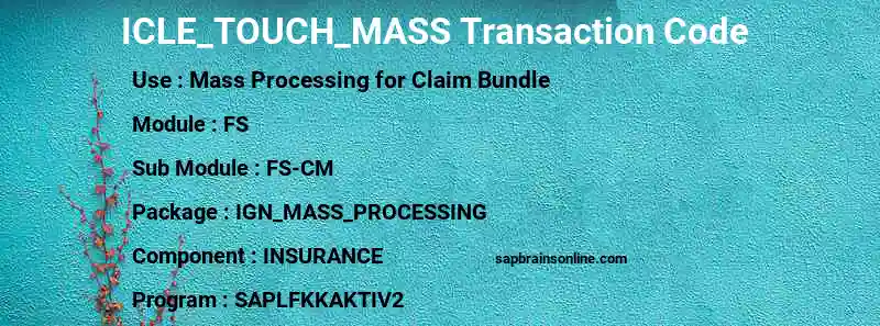 SAP ICLE_TOUCH_MASS transaction code