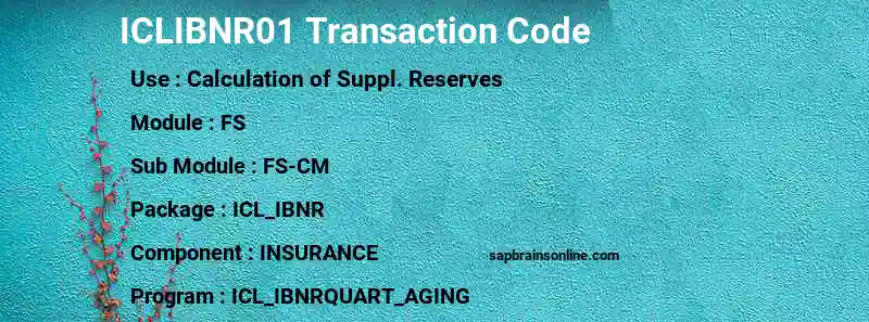SAP ICLIBNR01 transaction code
