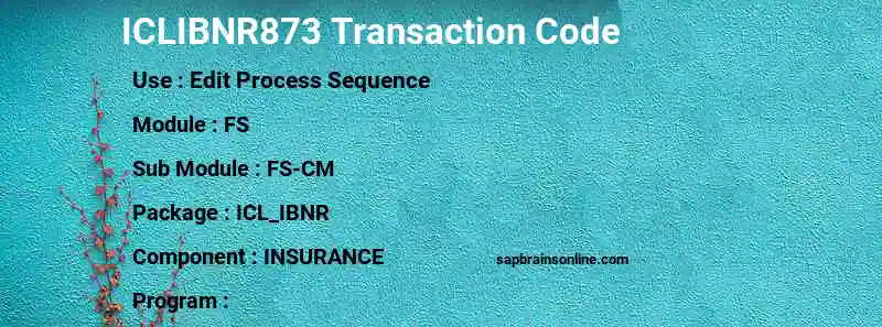 SAP ICLIBNR873 transaction code