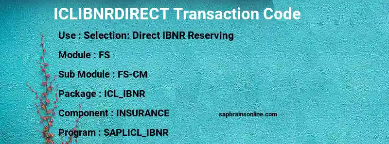 SAP ICLIBNRDIRECT transaction code