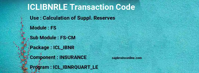 SAP ICLIBNRLE transaction code