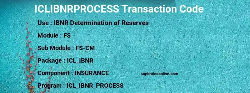 SAP ICLIBNRPROCESS transaction code