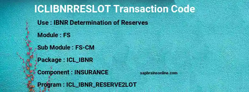 SAP ICLIBNRRESLOT transaction code