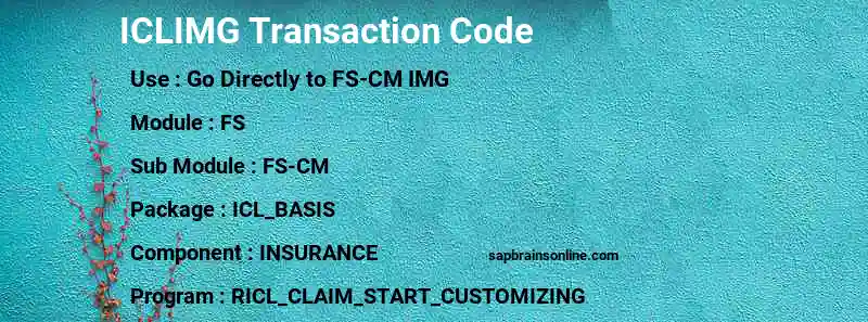 SAP ICLIMG transaction code