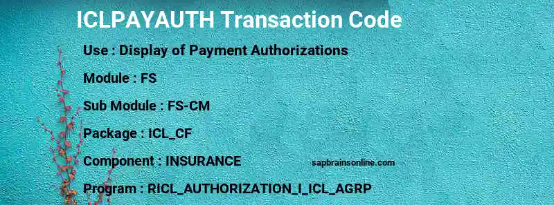 SAP ICLPAYAUTH transaction code