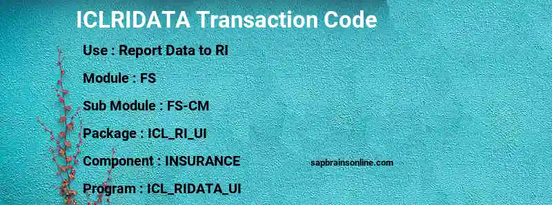 SAP ICLRIDATA transaction code