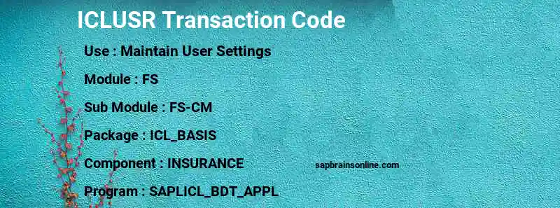 SAP ICLUSR transaction code