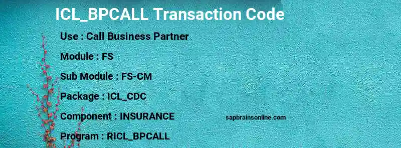 SAP ICL_BPCALL transaction code