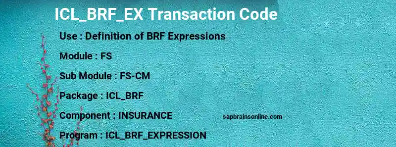 SAP ICL_BRF_EX transaction code