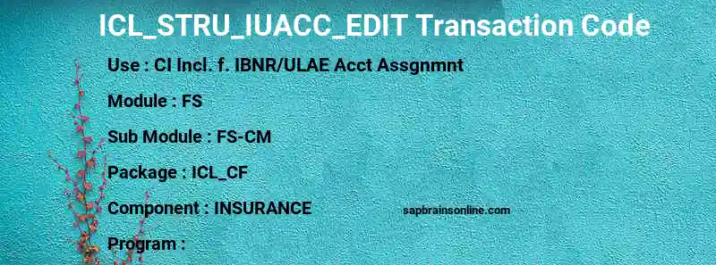 SAP ICL_STRU_IUACC_EDIT transaction code
