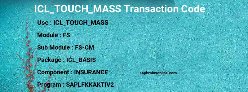 SAP ICL_TOUCH_MASS transaction code