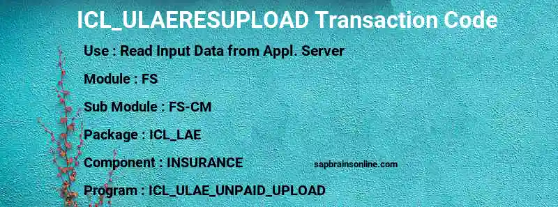 SAP ICL_ULAERESUPLOAD transaction code