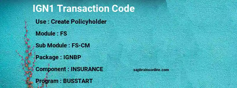SAP IGN1 transaction code