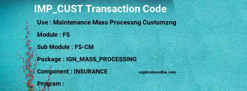 SAP IMP_CUST transaction code