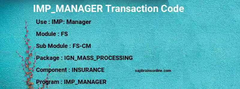 SAP IMP_MANAGER transaction code