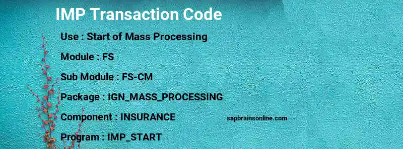 SAP IMP transaction code