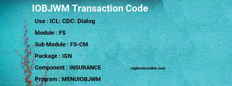 SAP IOBJWM transaction code
