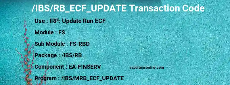 SAP /IBS/RB_ECF_UPDATE transaction code