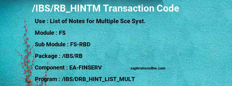 SAP /IBS/RB_HINTM transaction code