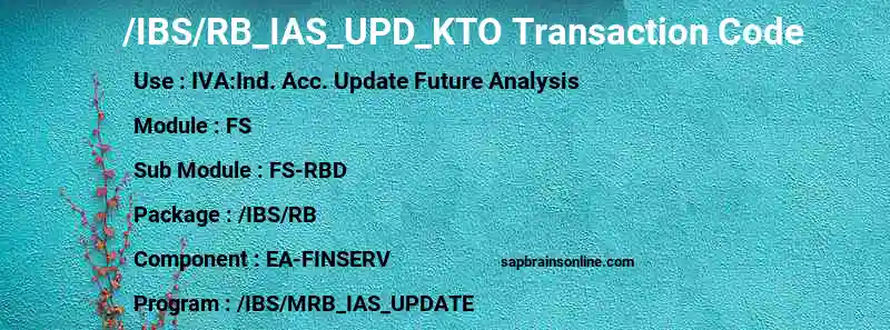 SAP /IBS/RB_IAS_UPD_KTO transaction code